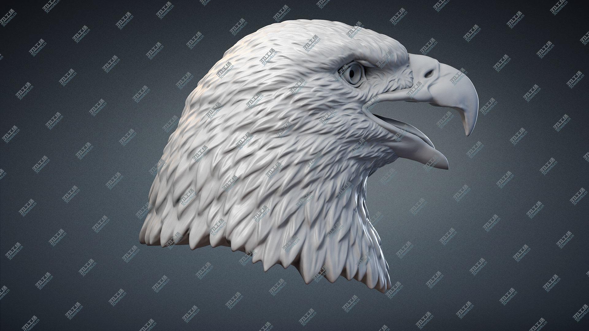 images/goods_img/2021040163/3D Bald Eagle Head Sculpture model/5.jpg